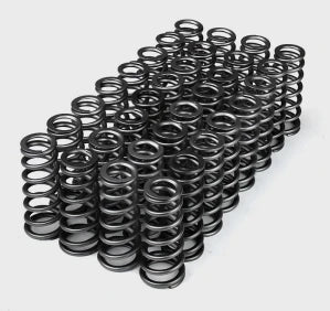 XDP HD High Boost Valve Spring Set XD767
